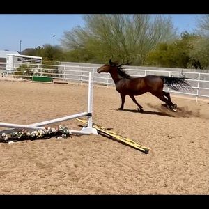 Meet your Posher, Nichole